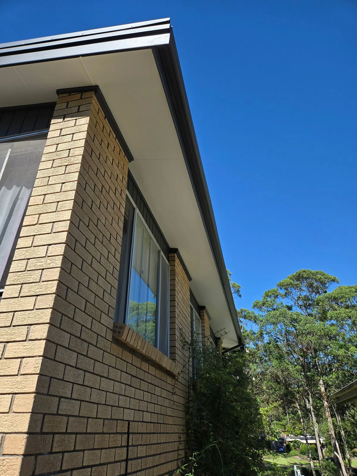 A close view of a painted eave, fascia and gutter line
